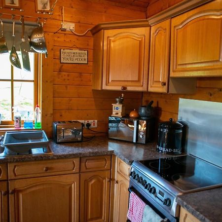 George Cabin - Log Cabin In Wales With Hot Tub Ньютаун Экстерьер фото