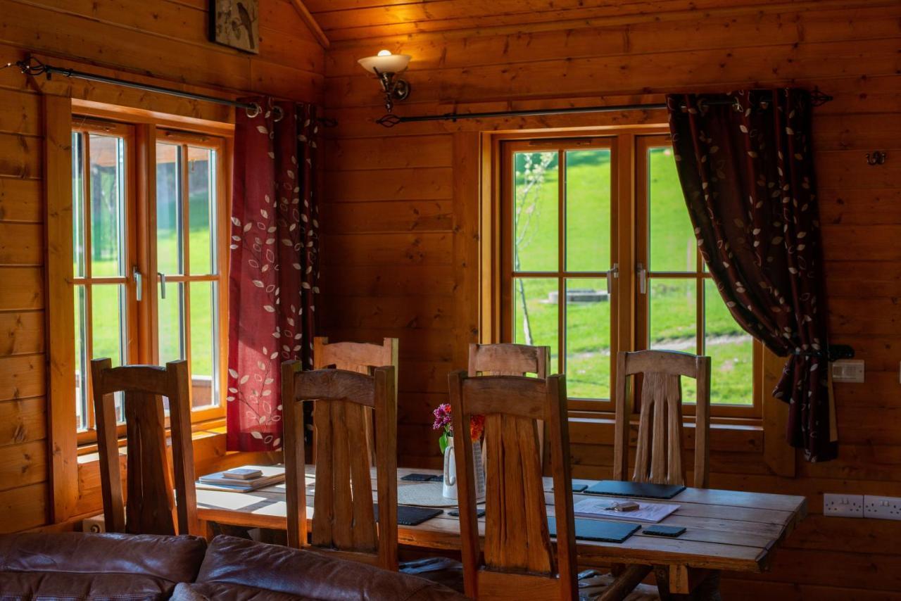 George Cabin - Log Cabin In Wales With Hot Tub Ньютаун Экстерьер фото
