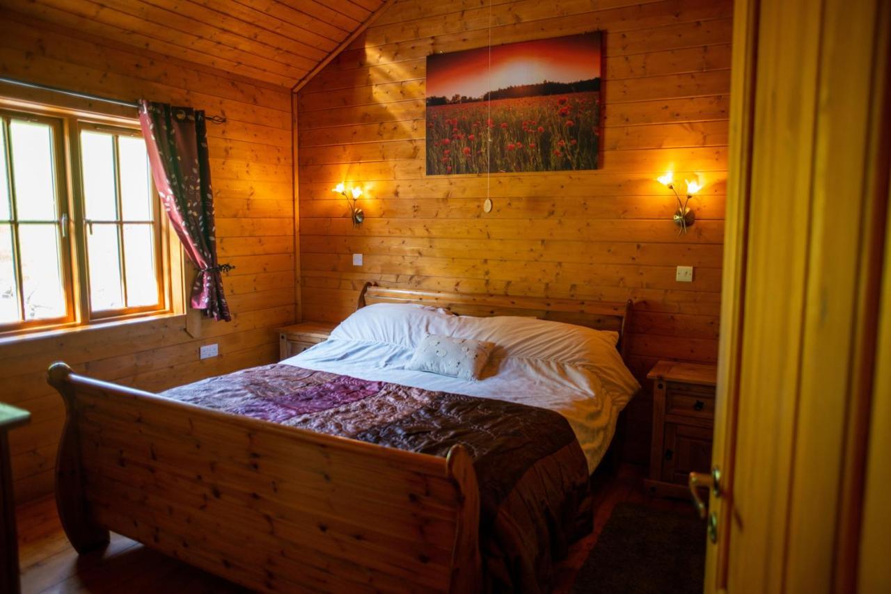 George Cabin - Log Cabin In Wales With Hot Tub Ньютаун Экстерьер фото