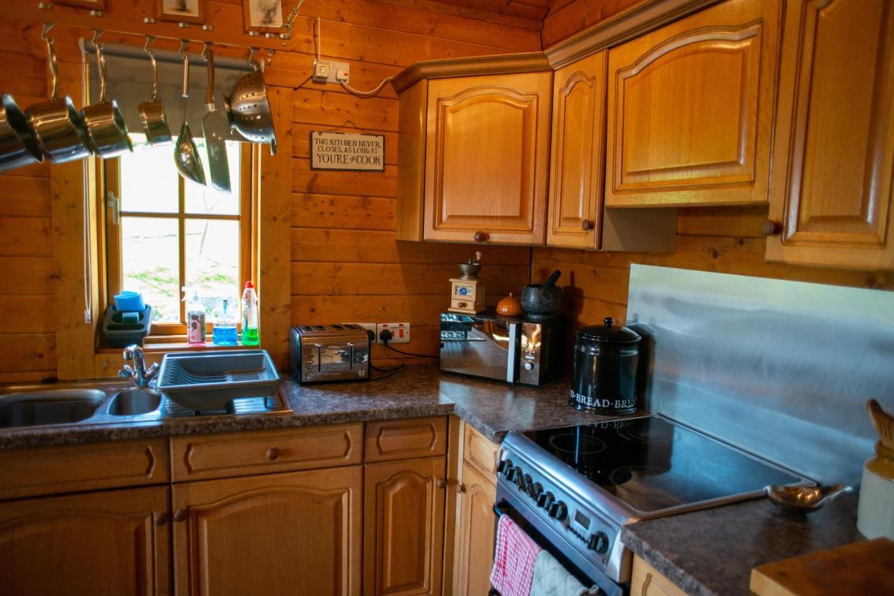 George Cabin - Log Cabin In Wales With Hot Tub Ньютаун Экстерьер фото